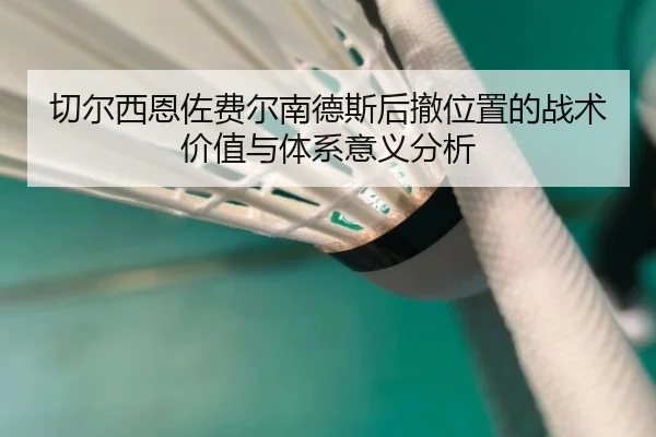 切尔西恩佐费尔南德斯后撤位置的战术价值与体系意义分析