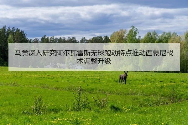 马竞深入研究阿尔瓦雷斯无球跑动特点推动西蒙尼战术调整升级